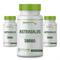 3 Potes Astragalus 500Mg 60 Cápsulas cada